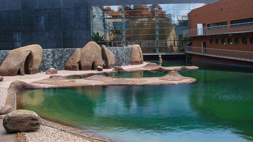 afrykarium we wrocławiu hydroizolacja