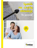 sposób na czystą elewację
