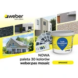 weber pas mosaic