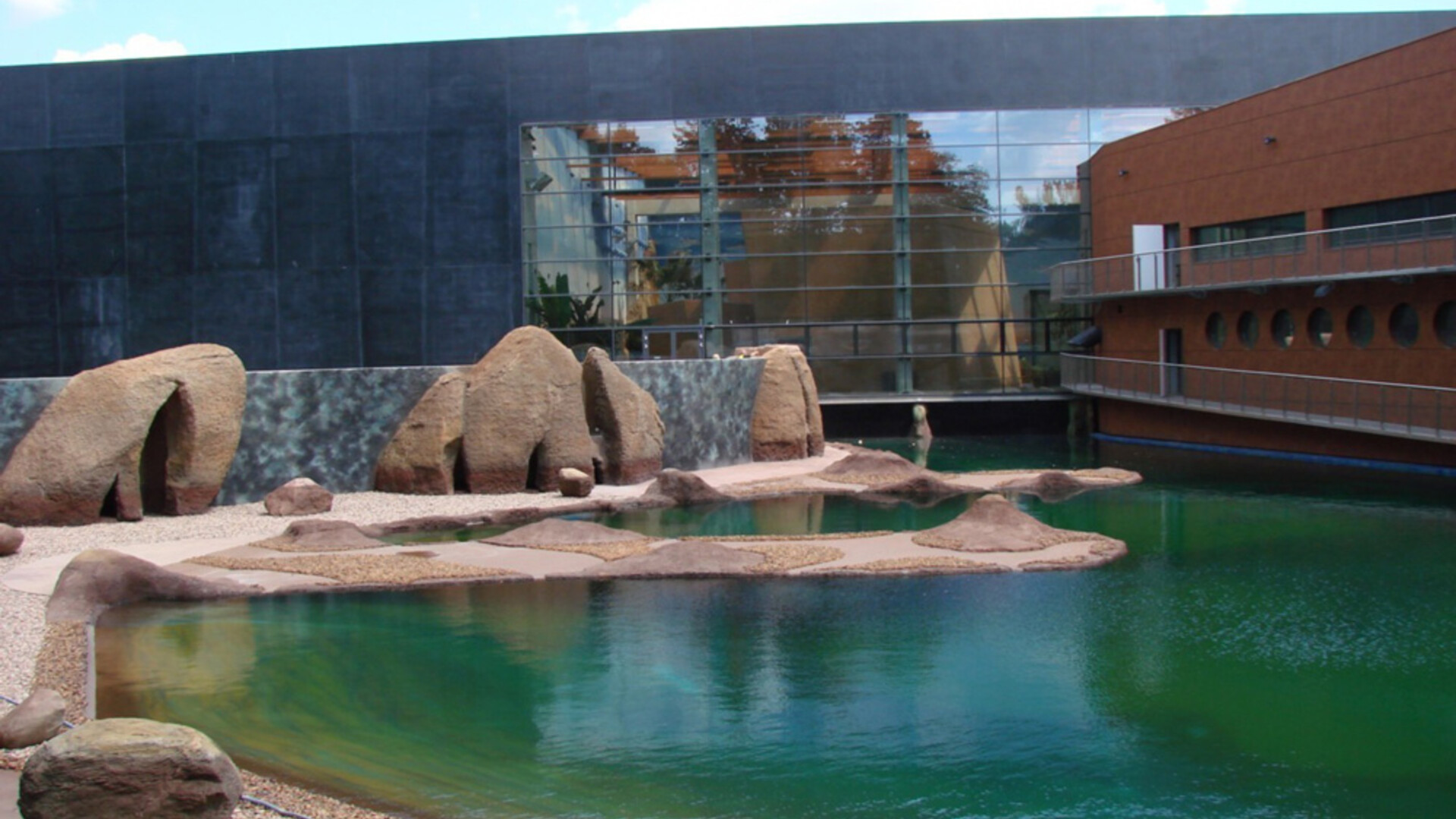 Afrykarium budowane we Wrocławiu Afrykarium Wrocław