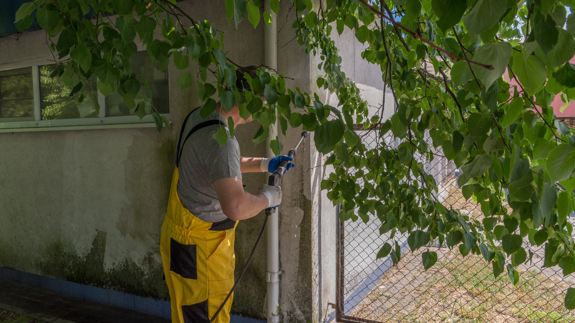 Czyszczenie elewacji przed zimą Czyszczenie elewacji przed zimą