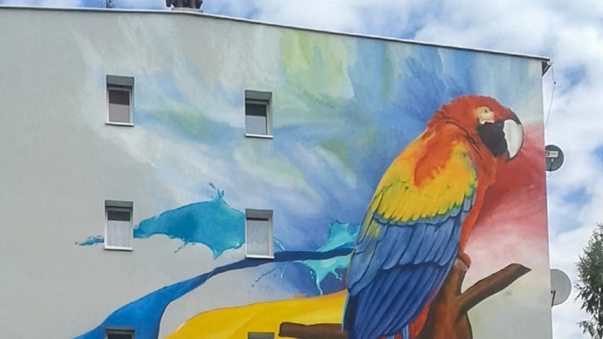 Papugi na Gwareckiej 31