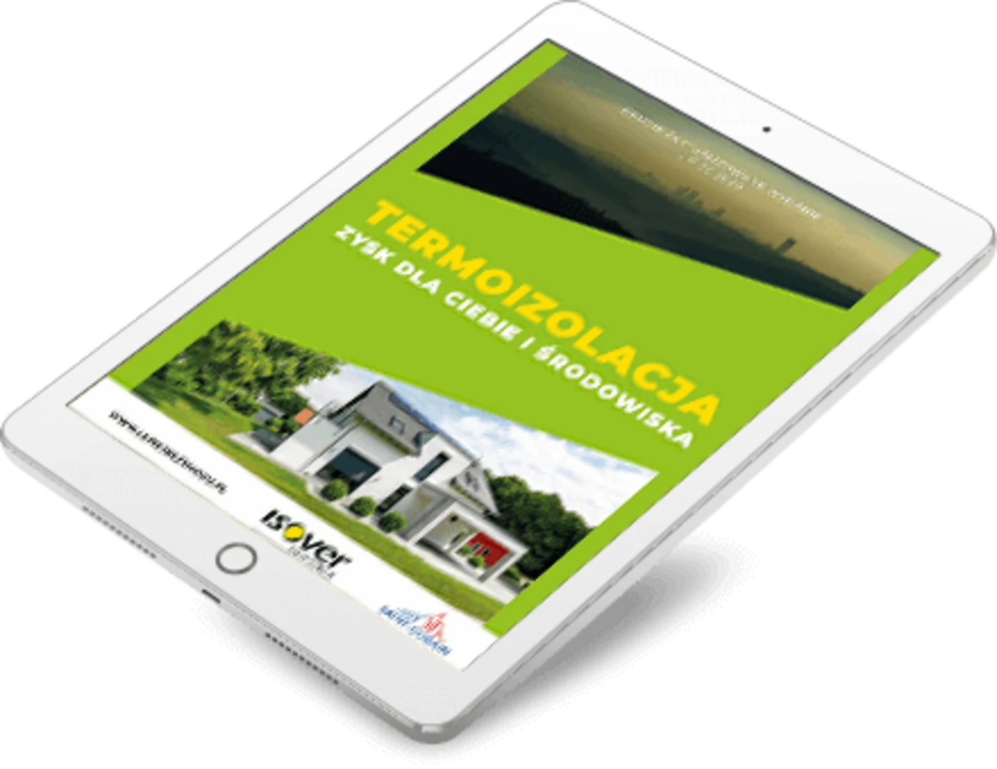 E-book Termomodernizacja