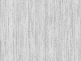 kora brzozy (biały)