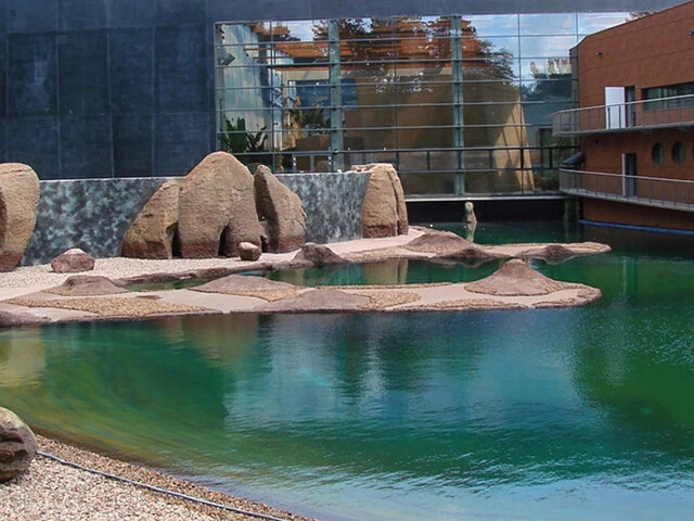 afrykarium we wrocławiu hydroizolacja