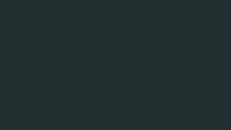 Z10 Antracyt