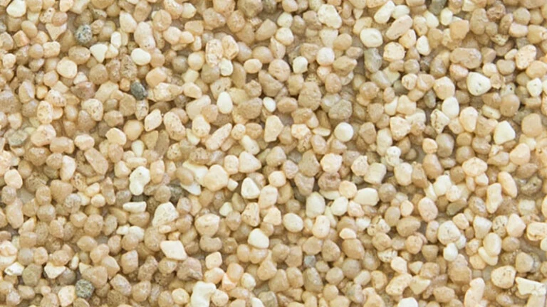 AG10