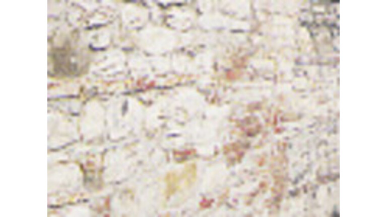 Mur mieszany mur mieszany